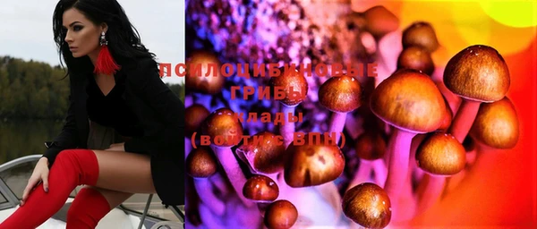 дурь Верхний Тагил